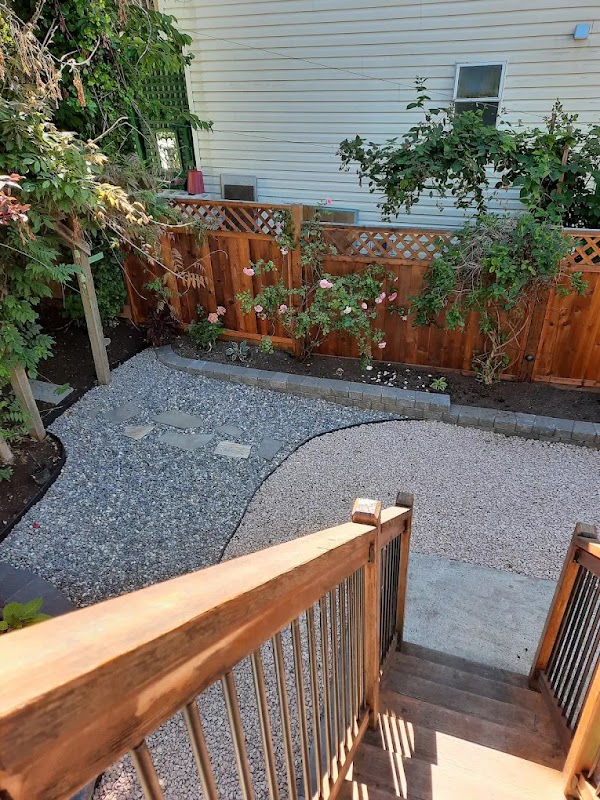 Gravel garden walkway lined with climbing roses