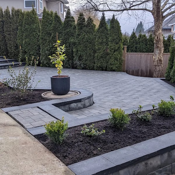 Paver patio with potted tree and planting bed
